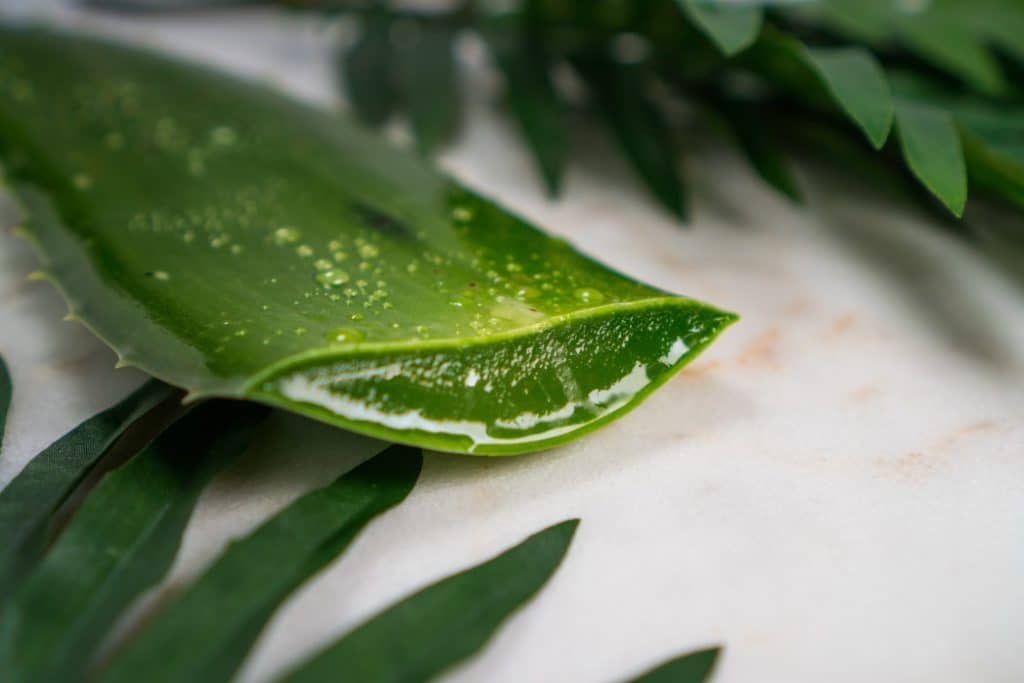 enlever les taches d'acné aloe vera